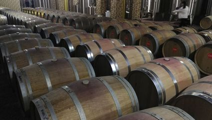 浪吳忠|走進東方裕興酒莊 感受獨特的戈蕊紅