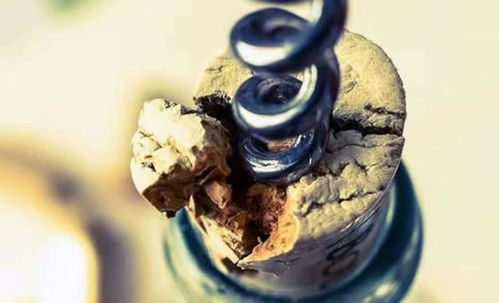 原來紅酒瓶塞是這樣制造的,和我想的完全不一樣,長見識(shí)了