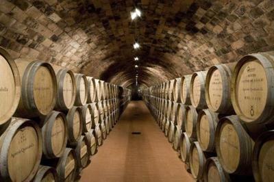 82年的拉菲為何至今仍有售？解析葡萄酒產量與市場流通的奧秘