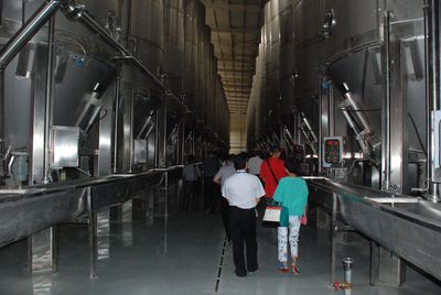 武威 中國葡萄酒旅游新領(lǐng)地的崛起與機(jī)遇